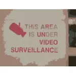 Videoövervakning